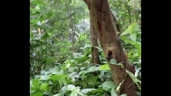 bianca freire transsexual rain forest